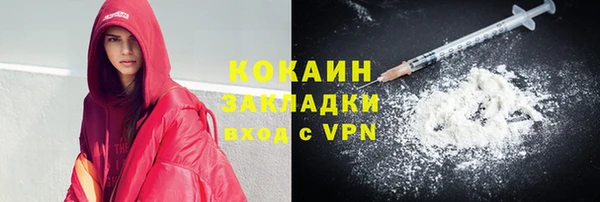 дурь Бородино