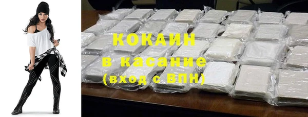 дурь Бородино