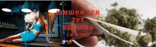дурь Бородино