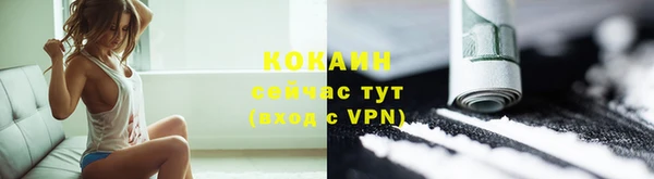 дурь Бородино