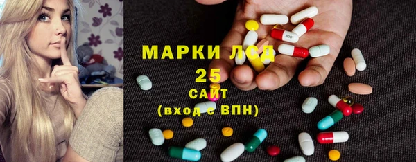 дурь Бородино