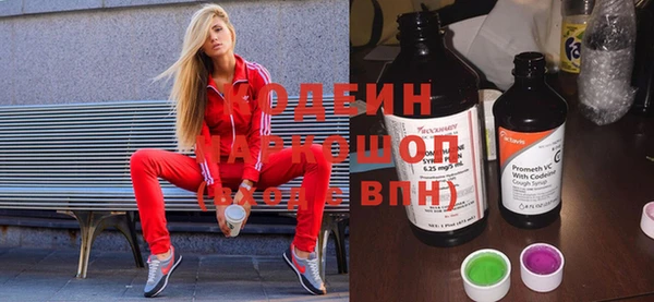 дурь Бородино
