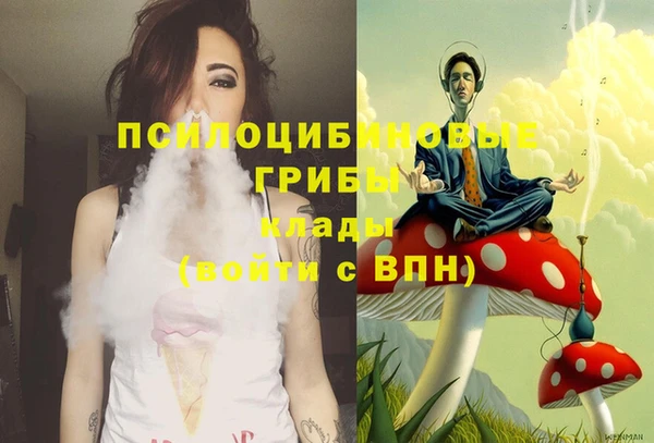 дурь Бородино
