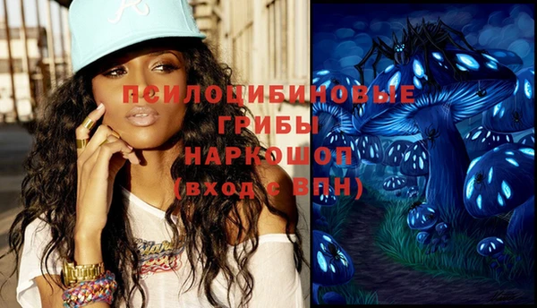дурь Бородино