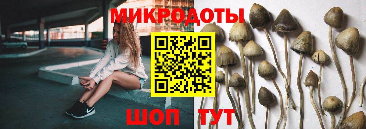 наркота  Галлюциногенные грибы мицелий  Вход с VPN  Дальнегорск 